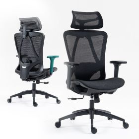 Ergonomic High Back Mesh Office Chair with Adjustable Headrest & Lumbar Support, Breathable Mesh Desk Chair with Padded Seat (Color: BLACK)